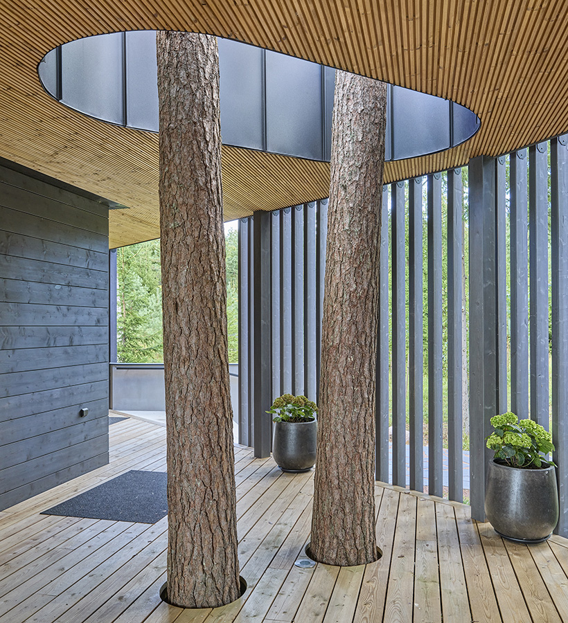Trees grow through the roof of the terrace in the Bumerangi log house.