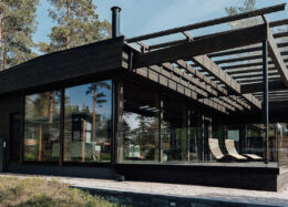 Modern log villa